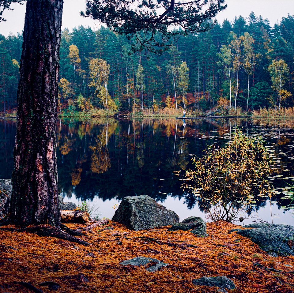 Fisherman photo