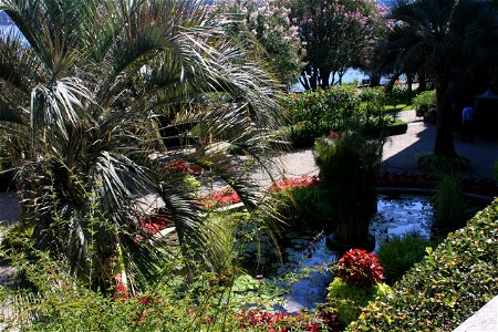 Isola Madre, Lake Maggiore photo