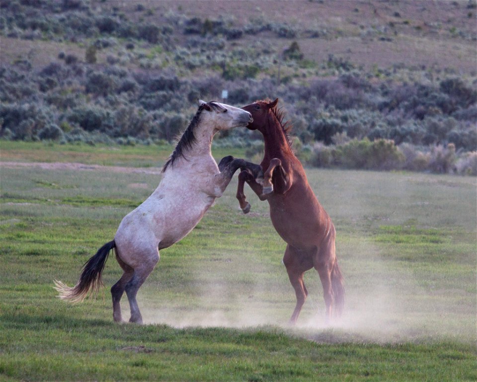 Kindall&Tucker-12jume2013