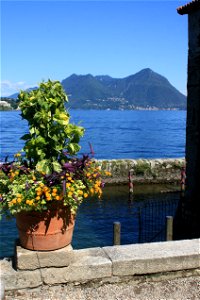 Isola Madre, Lake Maggiore photo