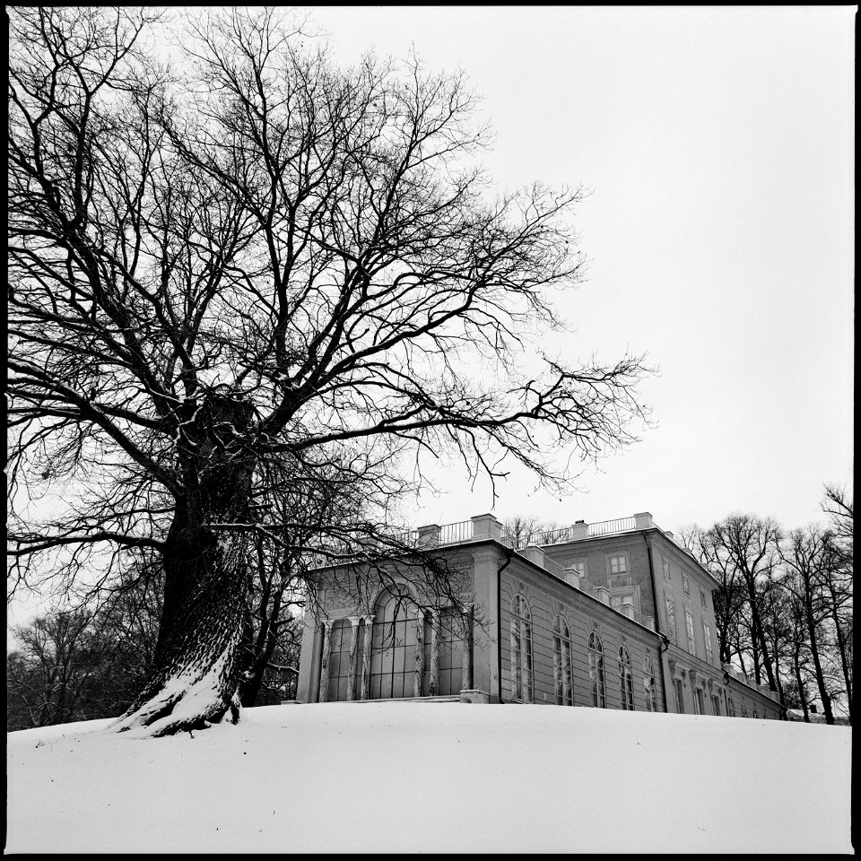 Gustav III's Pavilion photo