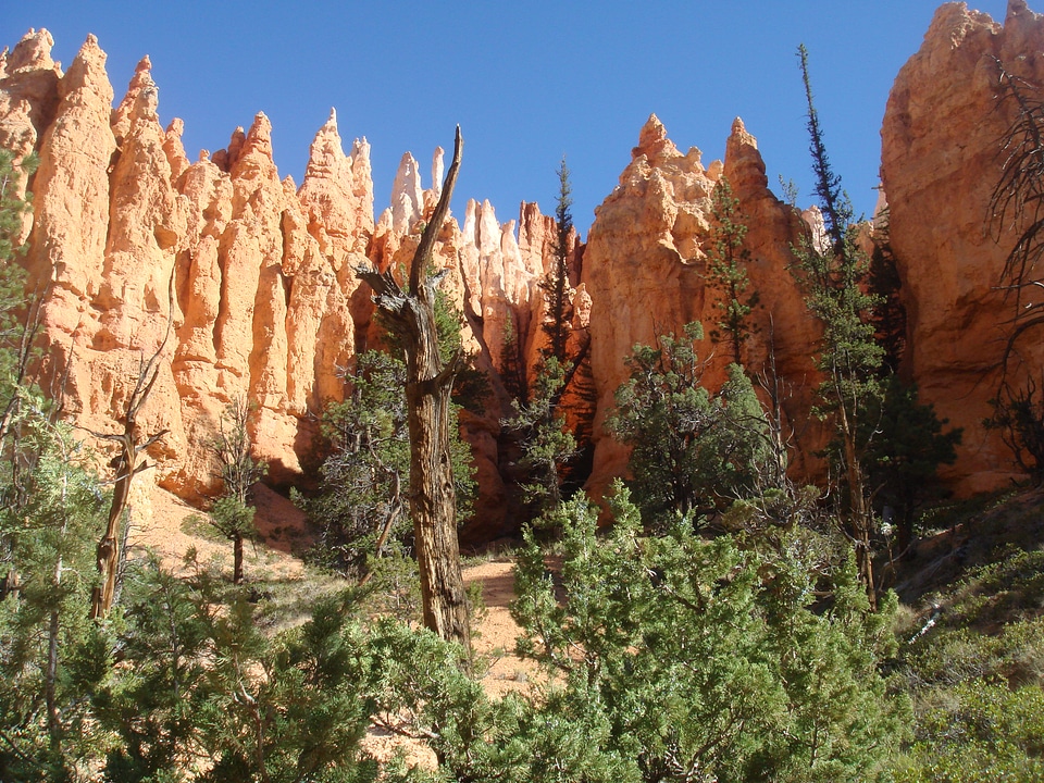 Bryce Canyon national park, USA