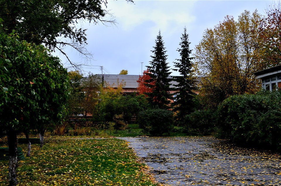 city streets on a rainy autumn day