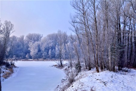 foggy frosty morning on the river bank photo