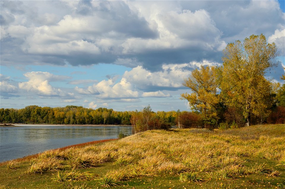 a walk along the Yenisei on an autumn day photo