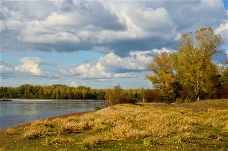 a walk along the Yenisei on an autumn day