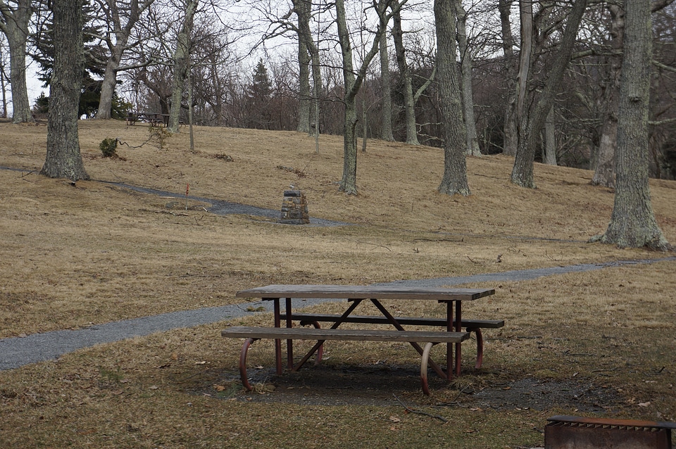 Picnic Grounds - Shenandoah National Park