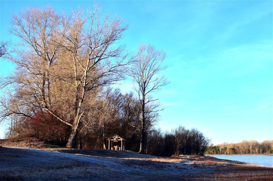 frosty morning on the river bank photo