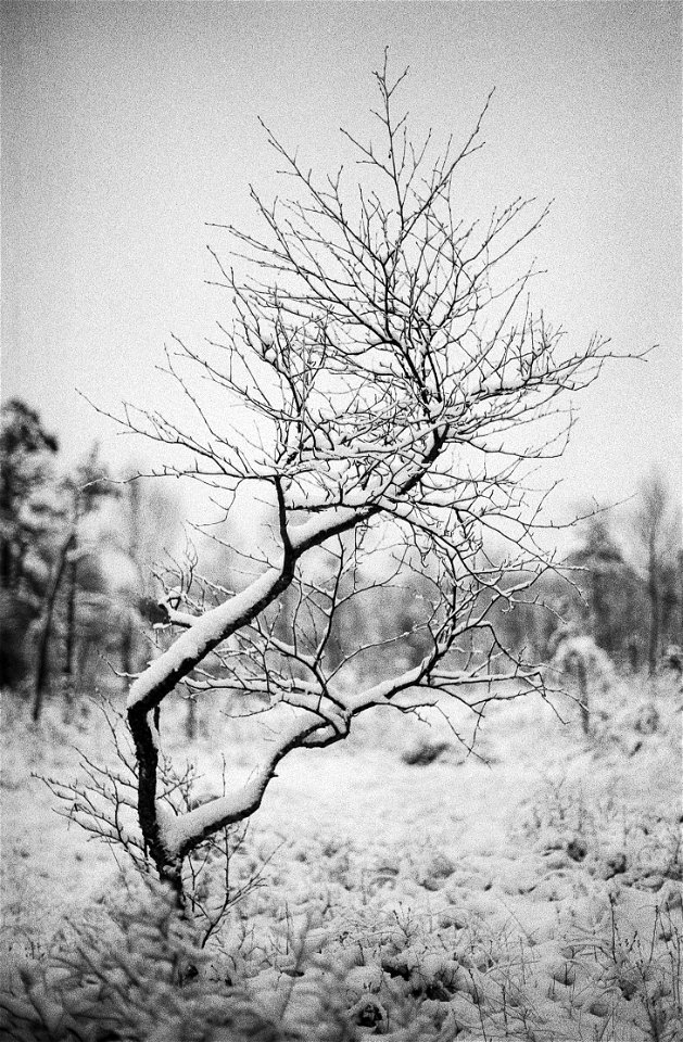 Paradiset naturreservat