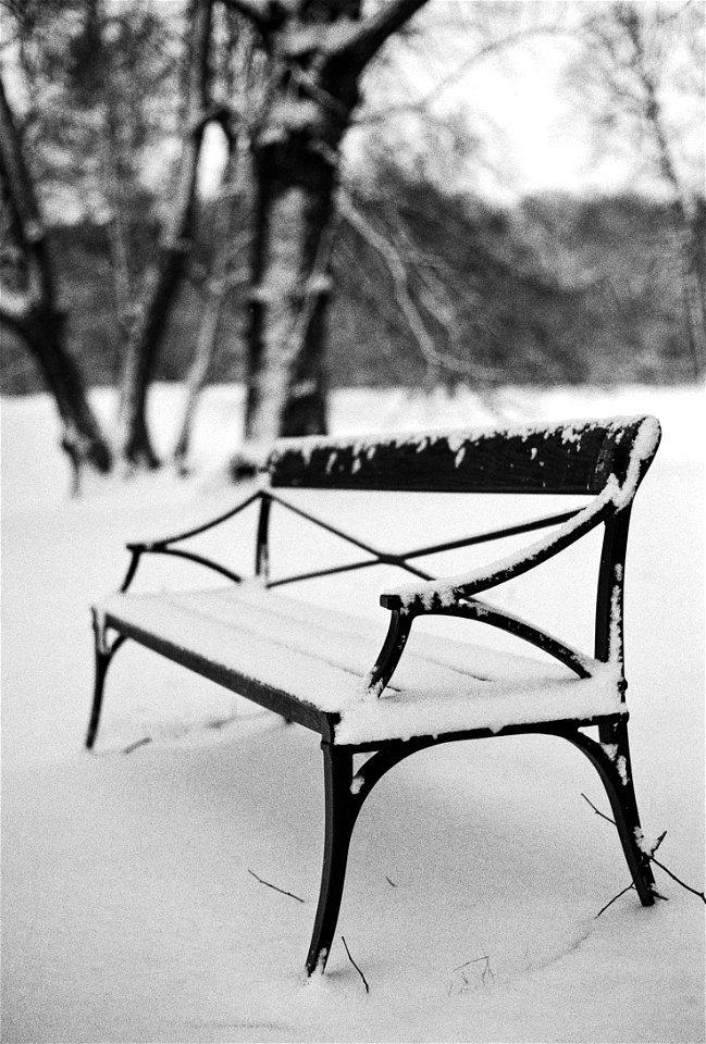 Winter bench