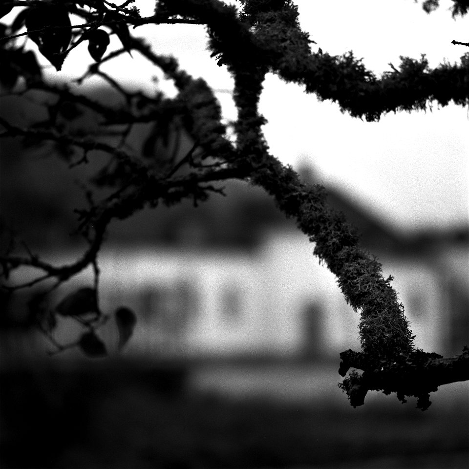 Vid Årsta slott
