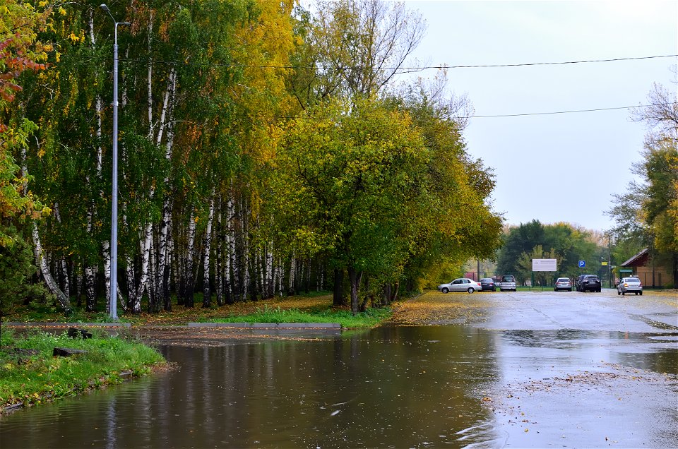 city streets on a rainy autumn day