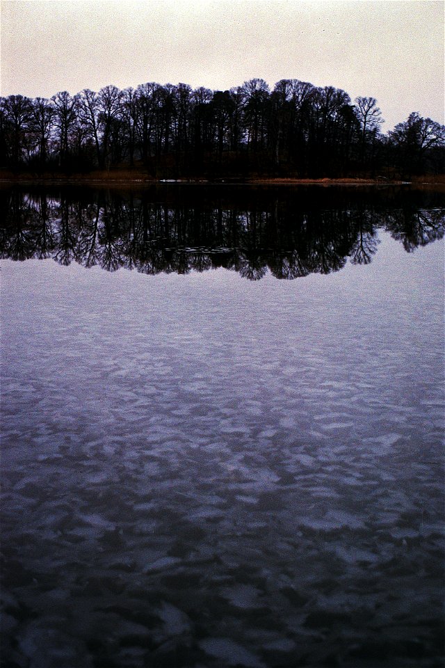 Rain on ice photo