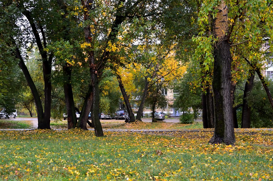 city streets on a rainy autumn day