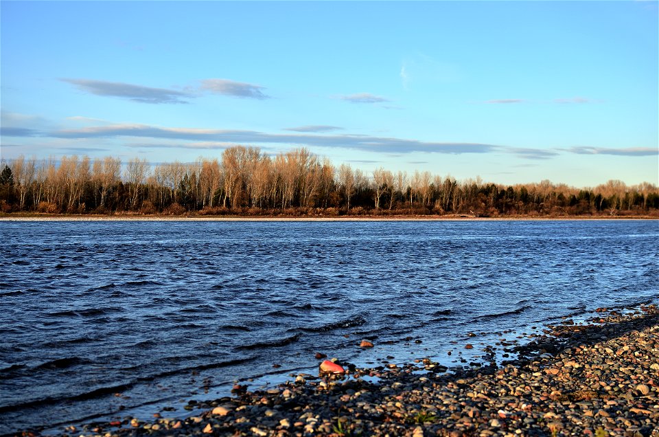 Autumn on the Yenisei River
