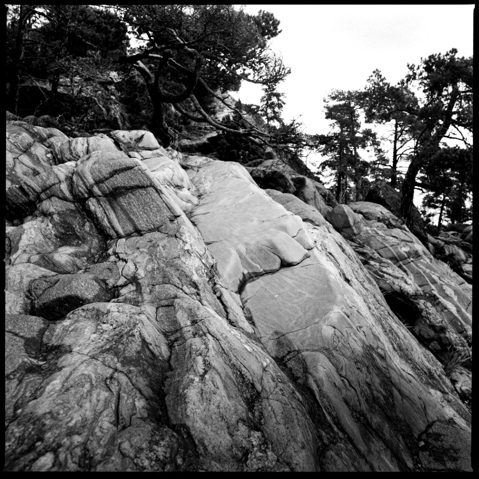 Gålö naturreservat X