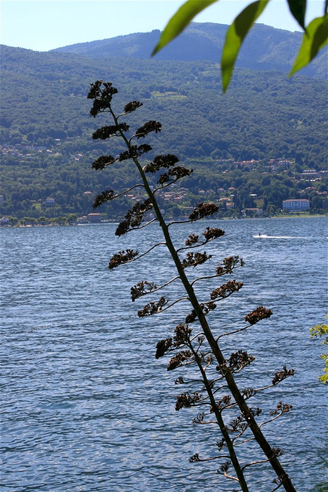 Lake Maggiore, Italy