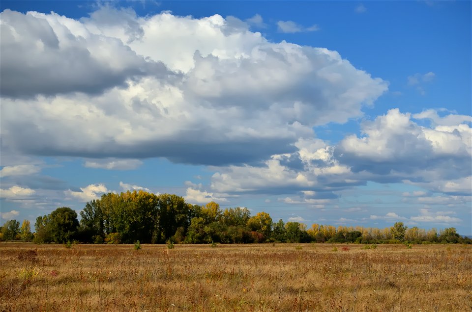 a walk along the Yenisei on an autumn day photo