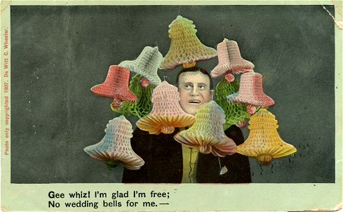 Gee Whiz! I'm Glad I'm Free