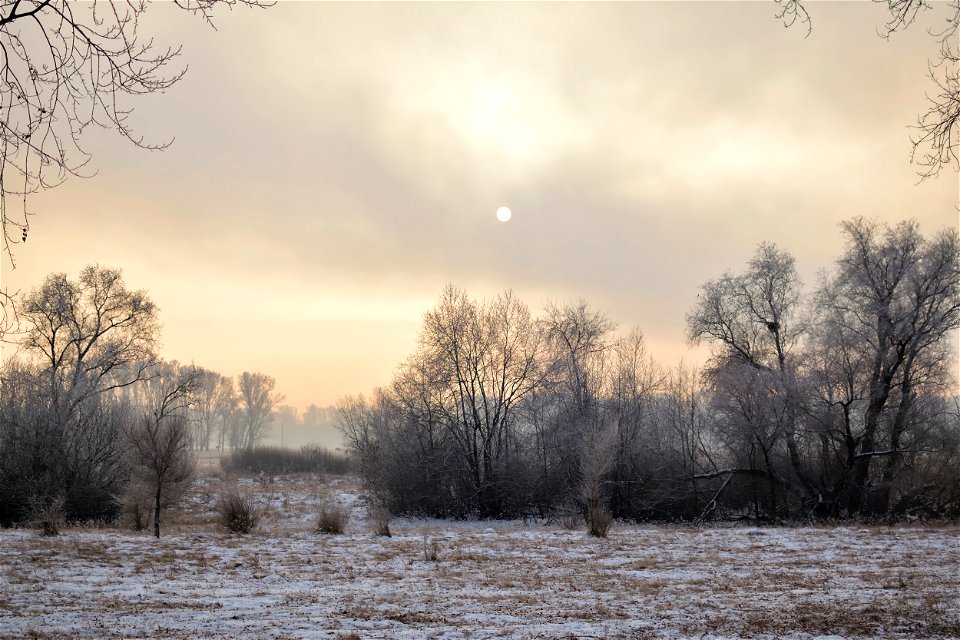 foggy frosty morning on the river bank