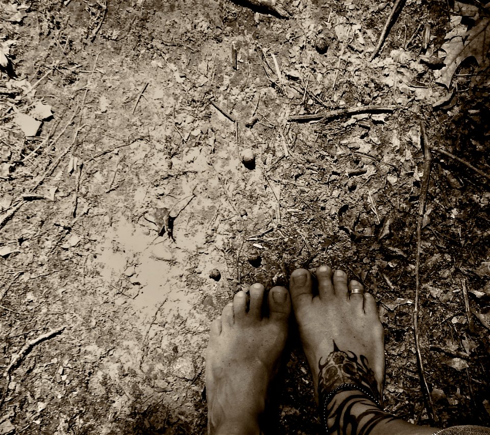 Timi's Alway's Barefoot