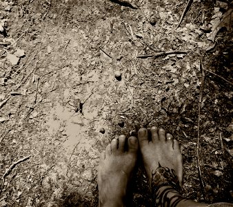 Timi's Alway's Barefoot photo
