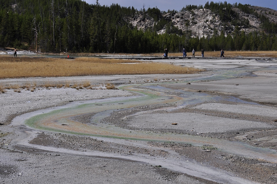 Thermal Field at Yellow Stone National Park
