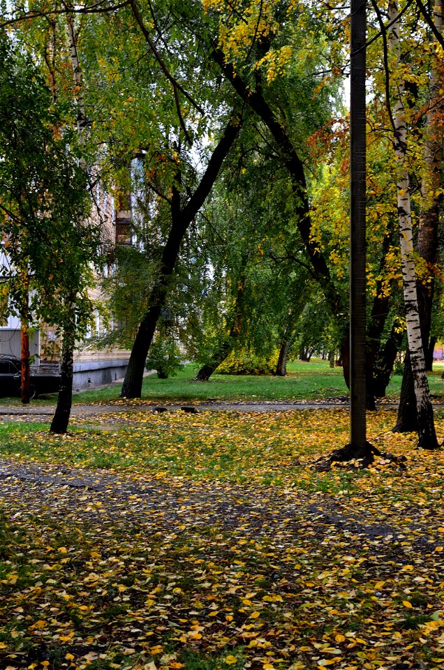 city streets on a rainy autumn day