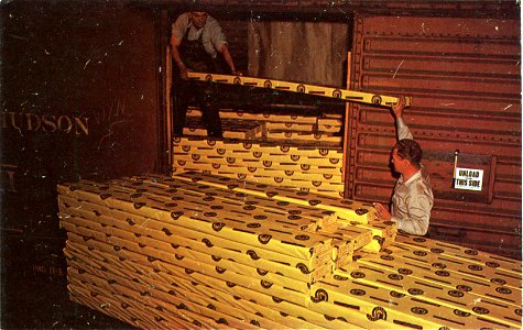 Loading "Noyo Wrap" Redwood, Fort Bragg, California