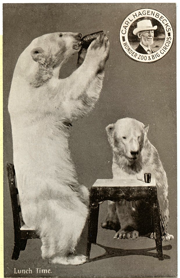 Carl Hagenbeck's Wonder Zoo & Big Circus, Polar Bears, Washington
