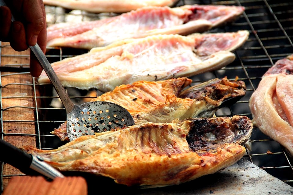 Peixe Tambaqui_Foto_Daiane Mendonça (28)
