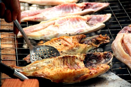 Peixe Tambaqui_Foto_Daiane Mendonça (28)