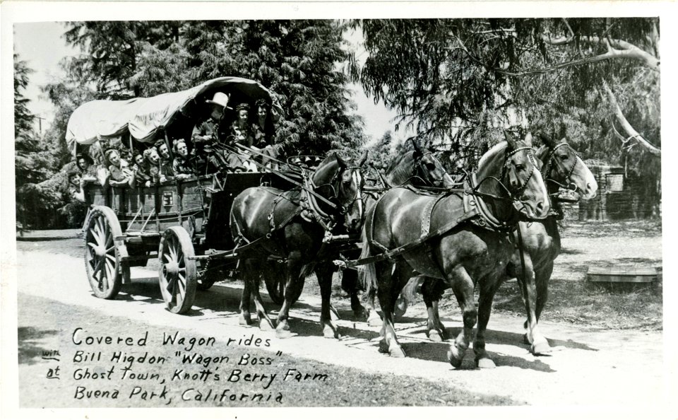 Covered Wagon Rides, Knott's Berry Farm, California