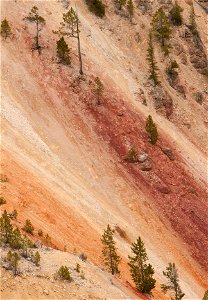 Yellowstone Colors