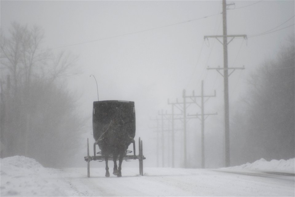 Amish Buggy in a White-out