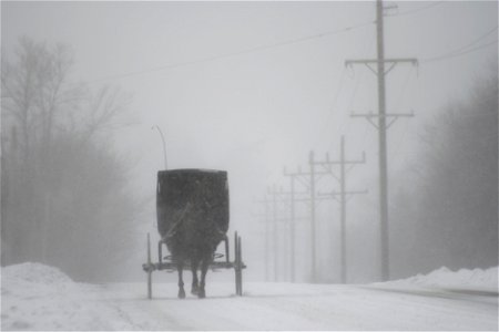 Amish Buggy in a White-out