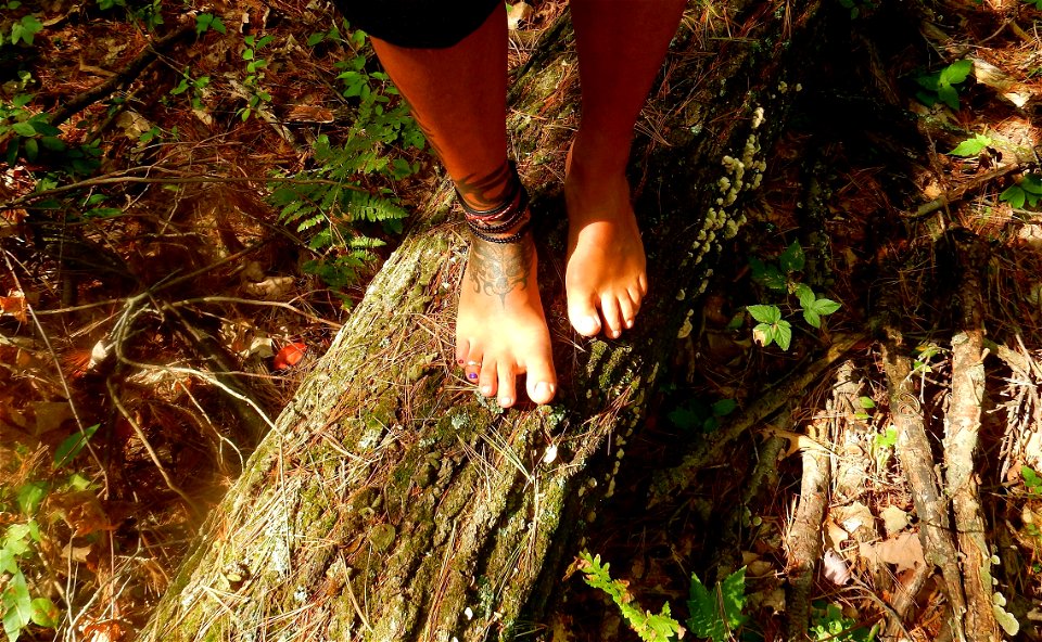 Timi's Always Barefoot