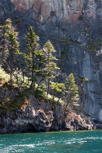 Upper Waterton Lake