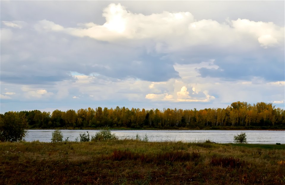 a walk along the Yenisei on an autumn day photo