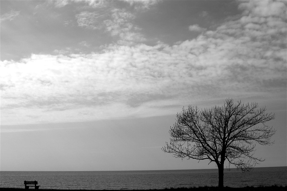 Peaceful Afternoon