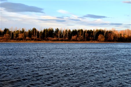 Autumn on the Yenisei River