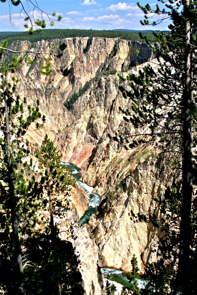 Deep in Yellowstone
