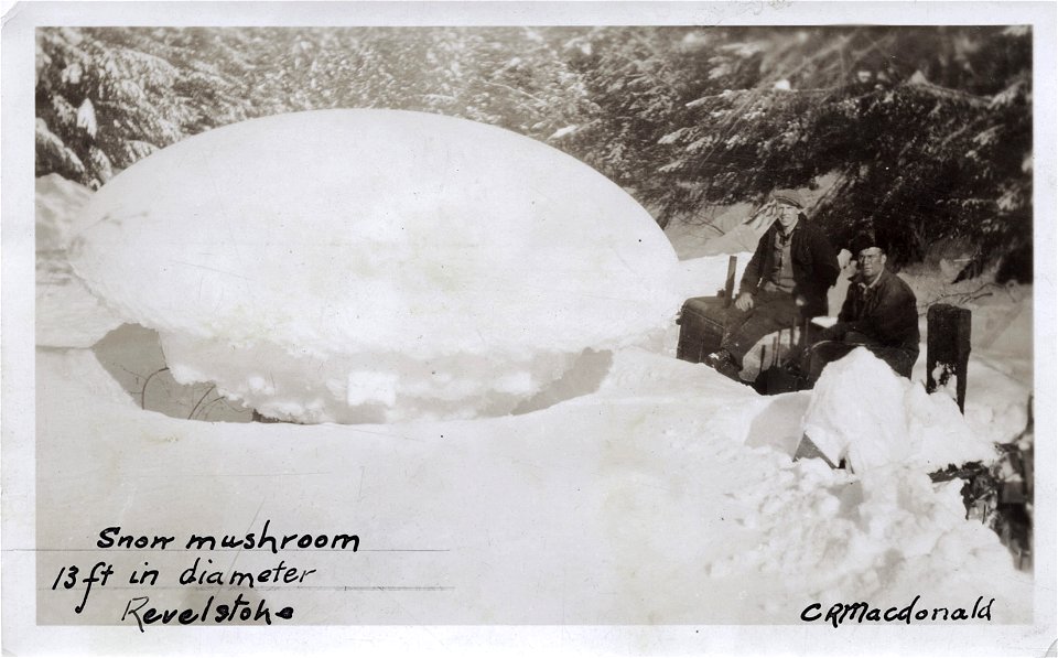 Snow Mushroom, Revelstoke BC