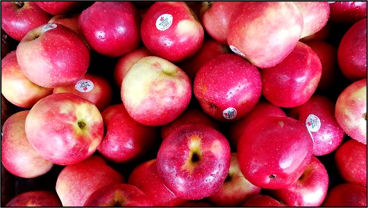 Apples