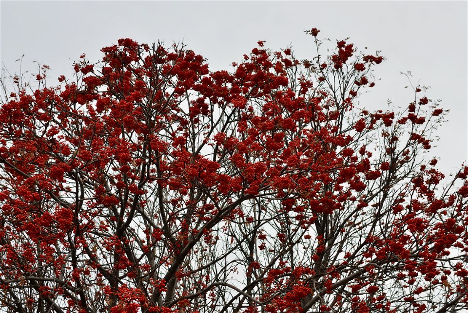 autumn landscape photo