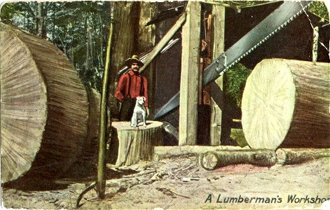 A Lumberman's Workshop