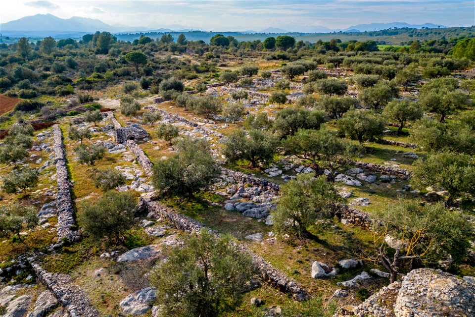 21-03-2023 La Garriga d' Avinyonet de Puigventós
