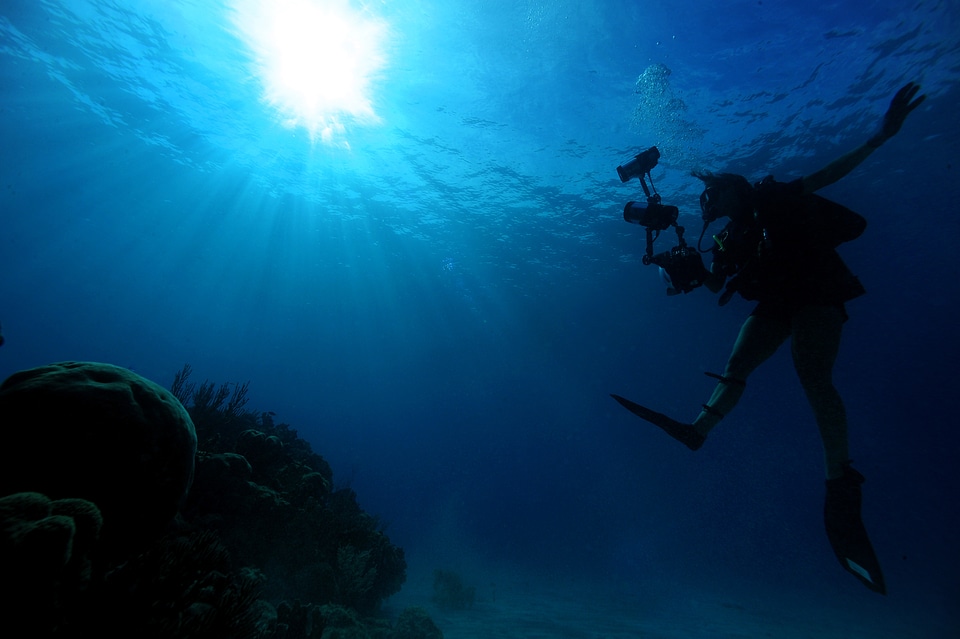 Scuba Diver descendsinot underwater