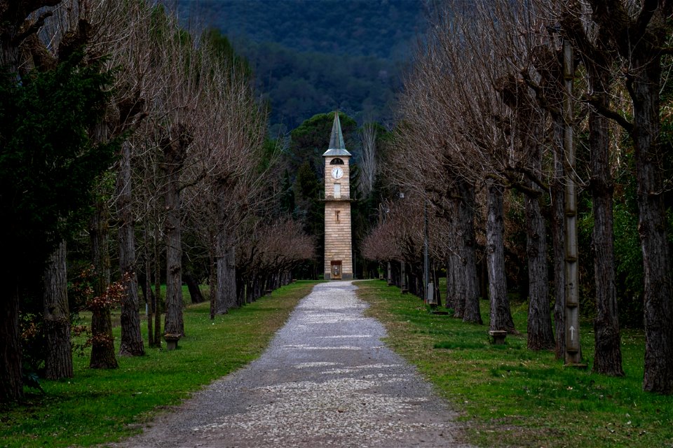 18-01-2023 Estany de Banyoles