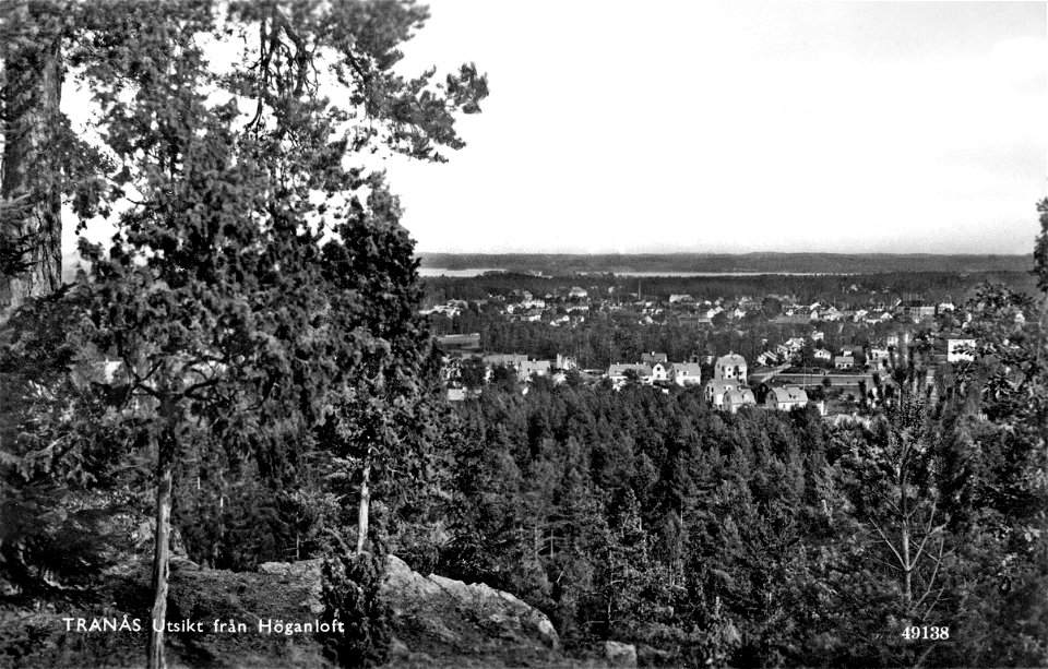 050 Utsikt från Höganloft 1946